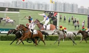 Khám Phá Toàn Diện Cá Cược Đua Ngựa VN88 Hấp Dẫn 1 Khám Phá Toàn Diện Cá Cược Đua Ngựa VN88 Hấp Dẫn