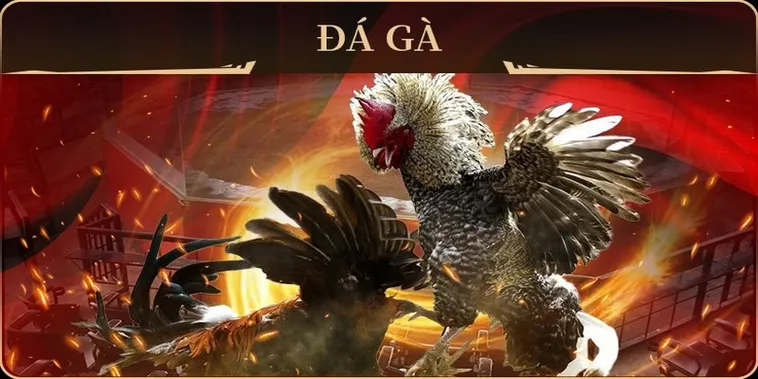 Hướng Dẫn Chi Tiết Cách Chơi Đá Gà GA28 Tại VN88 2 Hướng Dẫn Chi Tiết Cách Chơi Đá Gà GA28 Tại VN88